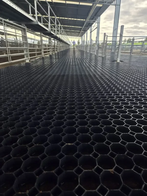 Uralla beef farm flooring in QLD