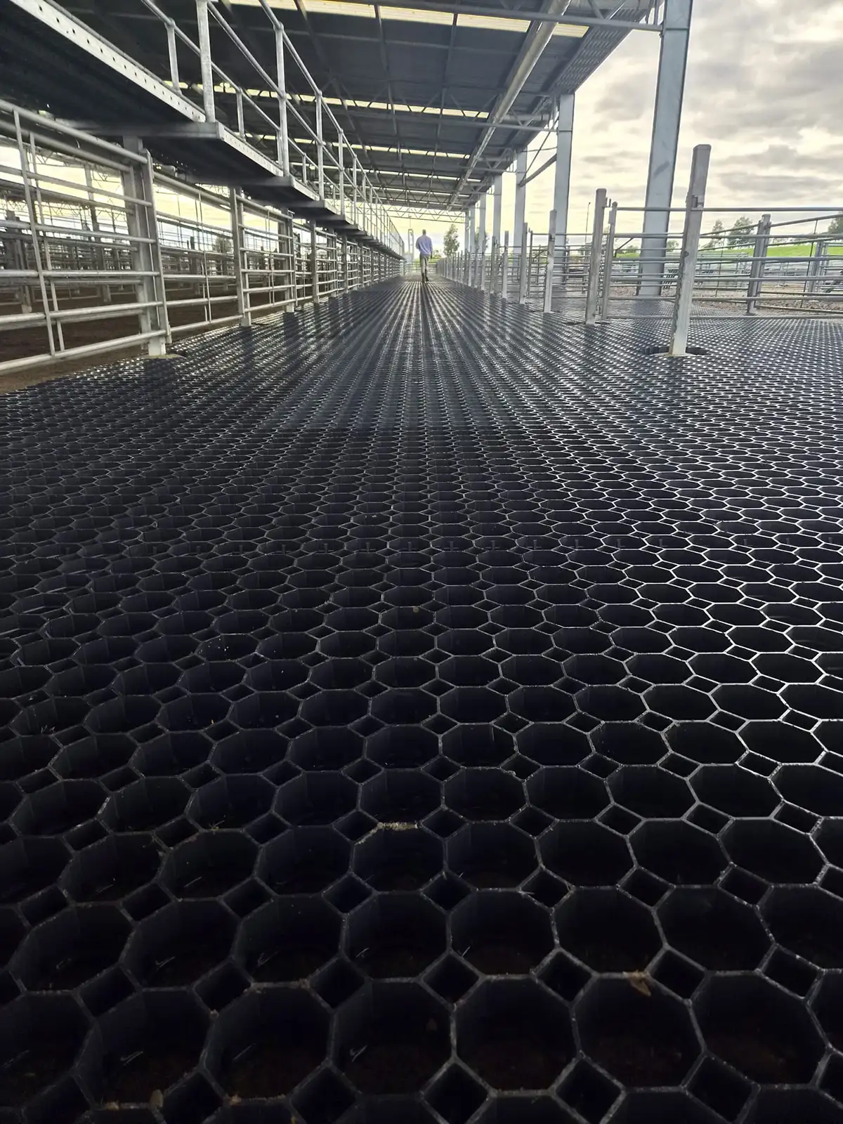 Rombus agricultural application for Rombus Slab