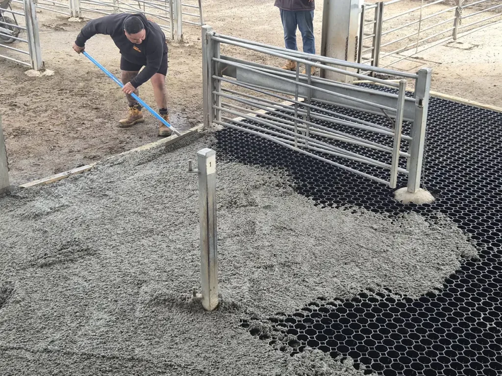 Rombus Uralla beef case study cover